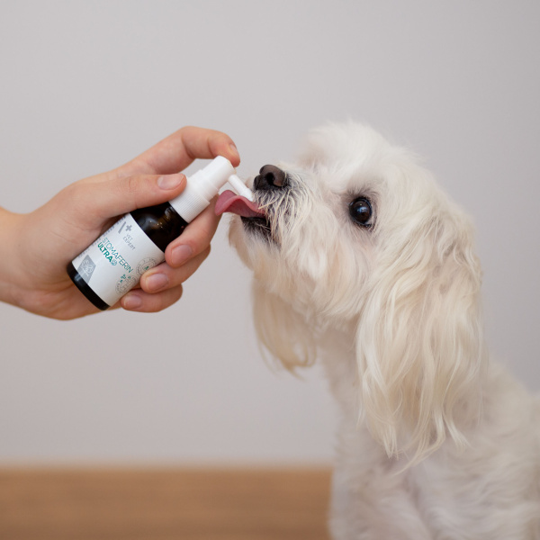 VET EXPERT STOMAFERIN ULTRA – špecializovaný perorálny prípravok pre