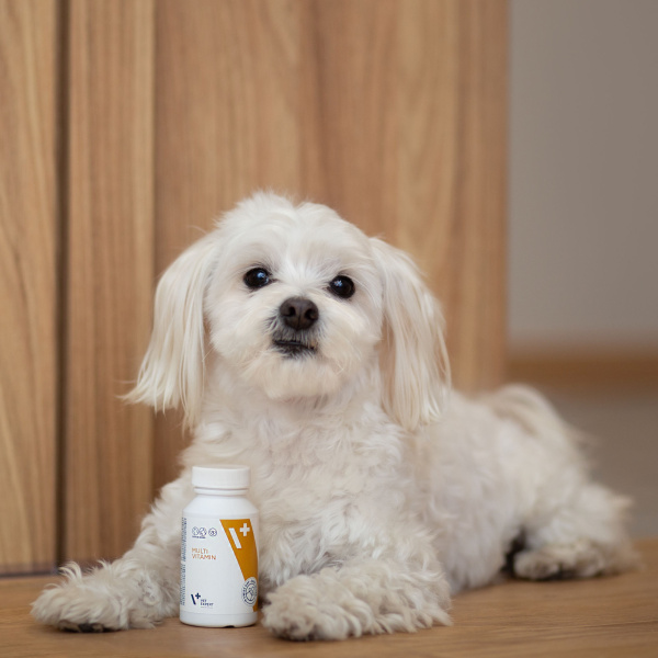 Vet Expert MULTIVITAMÍN