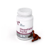 VET EXPERT HEPATIALE FORTE SMALL BREED & CATS