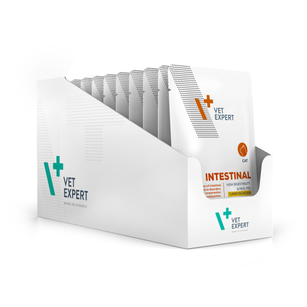 VET EXPERT INTESTINAL CAT Turkey&Chicken saszetka 12x100g – mokra