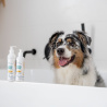 Vet Expert CLINIC CARE HYPO & OMEGA CONDITIONER