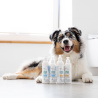 VET EXPERT Clinic Care microBiome Balance Shampoo