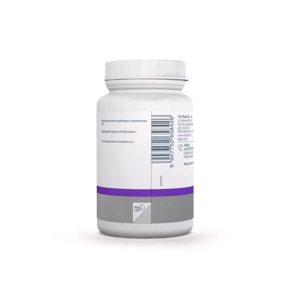 Vet Expert GERIATIVET LARGE BREED