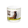 RAW PALEO Vital Pro Digestion Rabbit Medium Large 100g - hypoalergénna monoproteínová funkčná maškrta – tyčinka pre psa