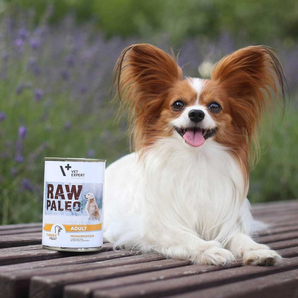 RAW PALEO ADULT DOG TURKEY 400G
