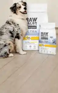 Granule a vlhké krmivo pre psov RAW PALEO