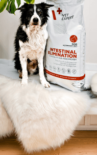 Veterinárne krmivo pre psov