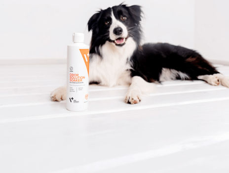 Voňavý domov. Objavte účinné a bezpečné odstraňovače zápachu.